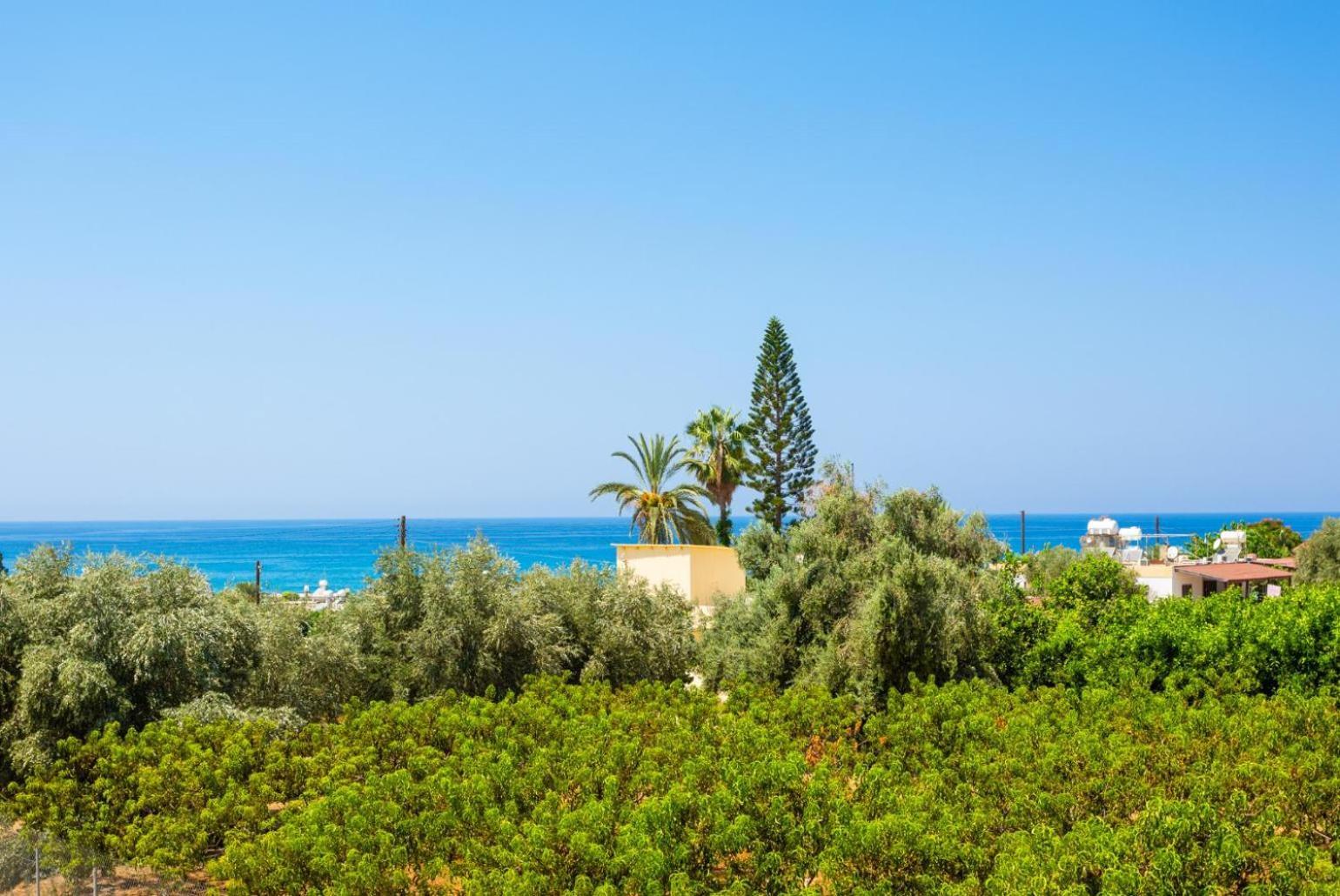 Villa Olivetta Kato Yialia Εξωτερικό φωτογραφία